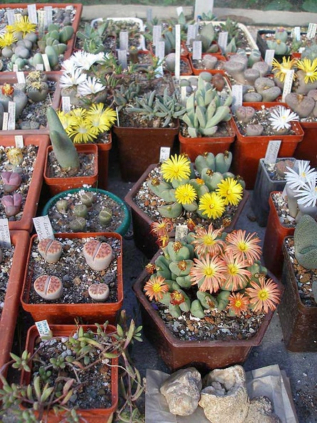 PA010229.jpg