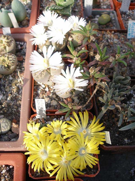 PA010232.jpg