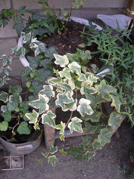 PA010235.jpg