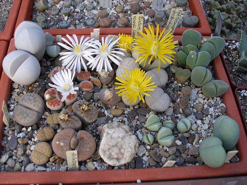 PA010239.jpg