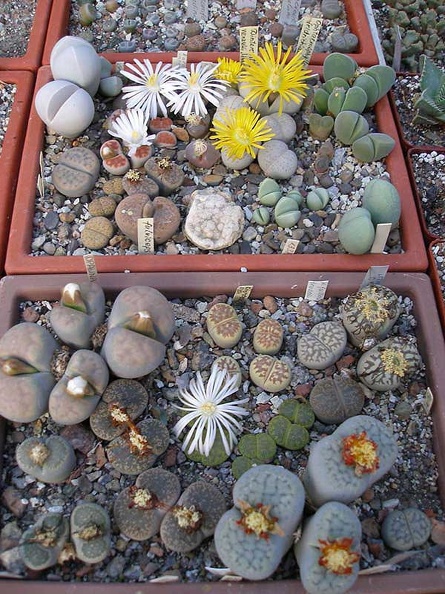 PA010240.jpg