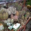 DSCF7135.jpg