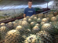 Коллекция Карела Риса  (Чехия, Ноузов)