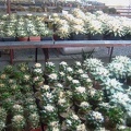 DSCF7159.jpg