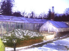 Коллекция Карела Риса  (Чехия, Ноузов)