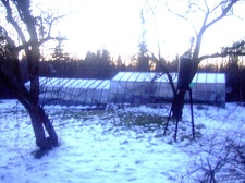 Коллекция Карела Риса  (Чехия, Ноузов)