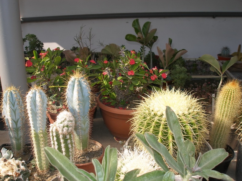 P1010039_01.jpg
