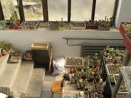 Коллекция Татьяны Кецко (Гнедин, Киевская обл.)