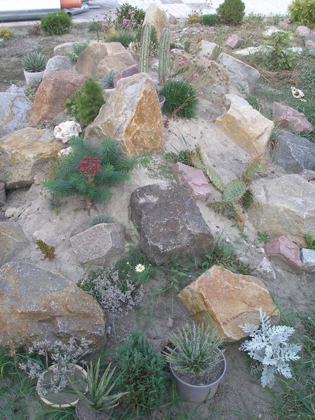 P1010075_01.jpg