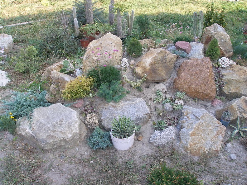 P1010085_01.jpg