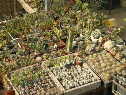 Коллекция Татьяны Кецко (Гнедин, Киевская обл.)