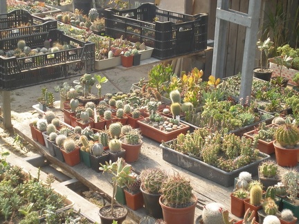 Коллекция Татьяны Кецко (Гнедин, Киевская обл.)