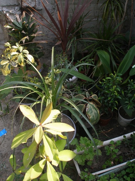 P1010107_01.jpg