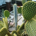 DSC00451.jpg