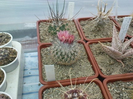 Коллекция Павла Климанова  (Феодосия)