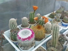 Коллекция Павла Климанова  (Феодосия)