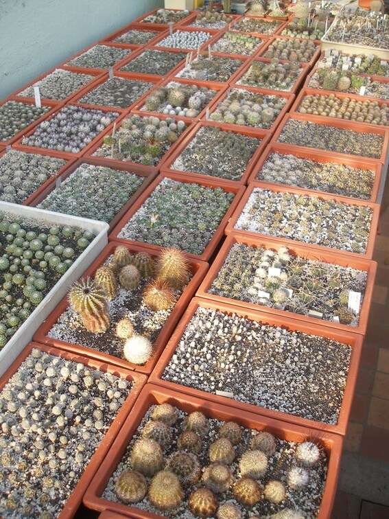 Коллекция Игоря Лавровского  (Киев)