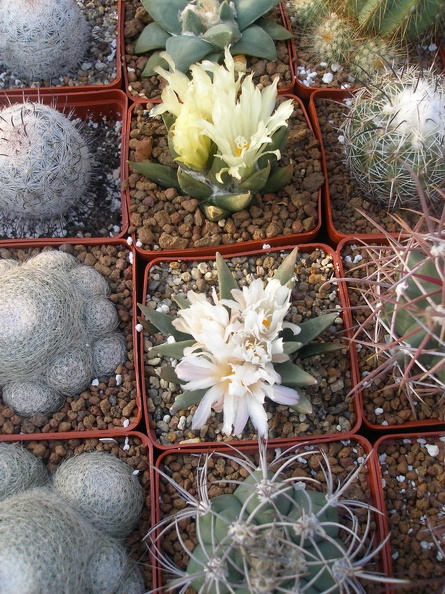 PA010212.jpg