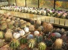 Коллекция Игоря Лавровского (Киев)