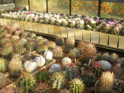 Коллекция Игоря Лавровского (Киев)