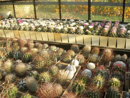 Коллекция Игоря Лавровского (Киев)