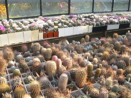 Коллекция Игоря Лавровского (Киев)