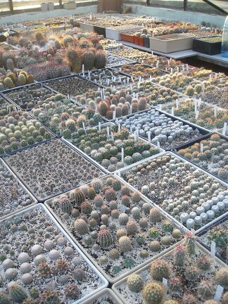 Коллекция Игоря Лавровского (Киев)