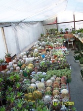 Коллекция  Владислава и Татьяны Липских (Винница)