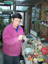 Коллекция  Владислава и Татьяны Липских (Винница)