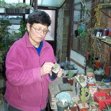 Коллекция Владислава и Татьяны Липских (Винница)