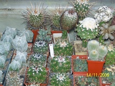 Коллекция  Владислава и Татьяны Липских (Винница)