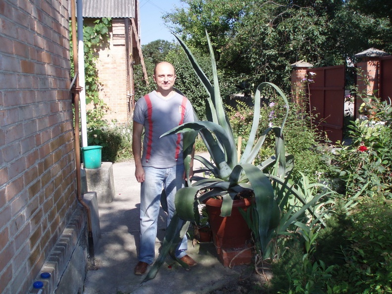 litvinP1010093.jpg