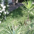 litvinP6100014.jpg