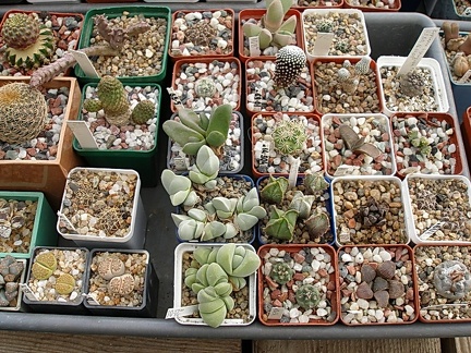 Коллекция Олега Мединского (Одесса)