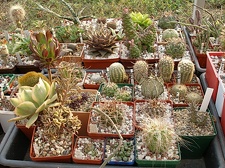 Коллекция Олега Мединского (Одесса)