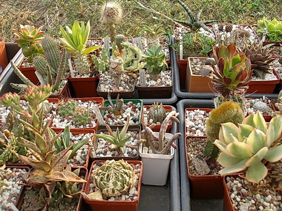 Коллекция Олега Мединского (Одесса)