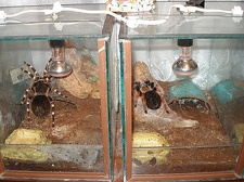 Коллекция Олега Мединского (Одесса)