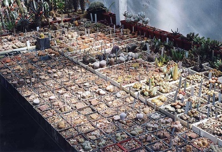 Коллекция Григория Мухина (Фастов)