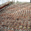 PB180050.jpg