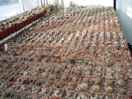 Коллекция Григория Мухина (Фастов)