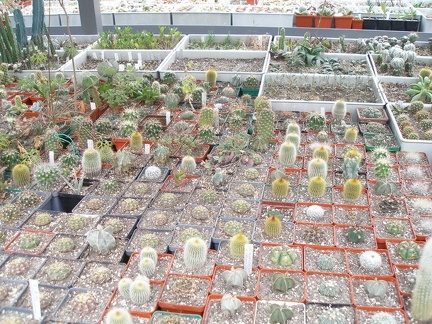 Коллекция Юрия Норенко (Бровары)