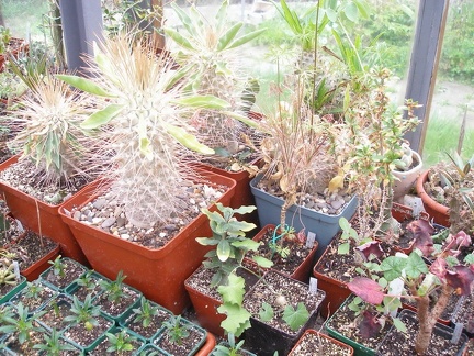 Коллекция Юрия Норенко (Бровары)