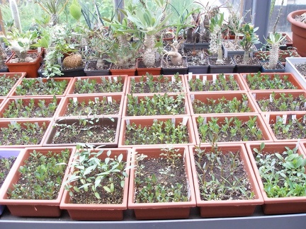 Коллекция Юрия Норенко (Бровары)