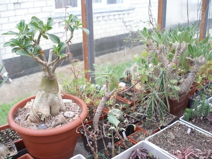 Коллекция Юрия Норенко (Бровары)