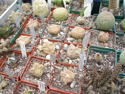 Коллекция Юрия Норенко (Бровары)