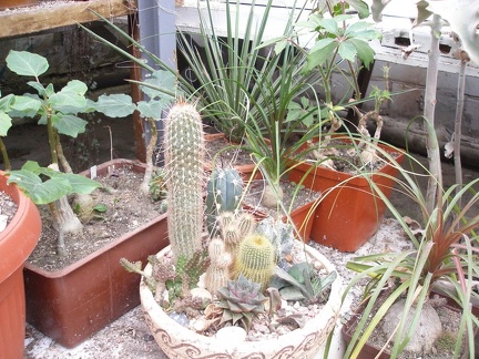 Коллекция Юрия Норенко (Бровары)