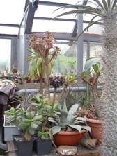 Коллекция Юрия Норенко (Бровары)