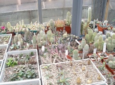 Коллекция Юрия Норенко (Бровары)