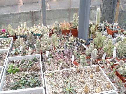 Коллекция Юрия Норенко (Бровары)