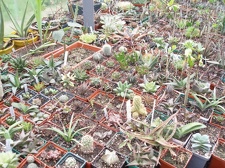 Коллекция Юрия Норенко (Бровары)